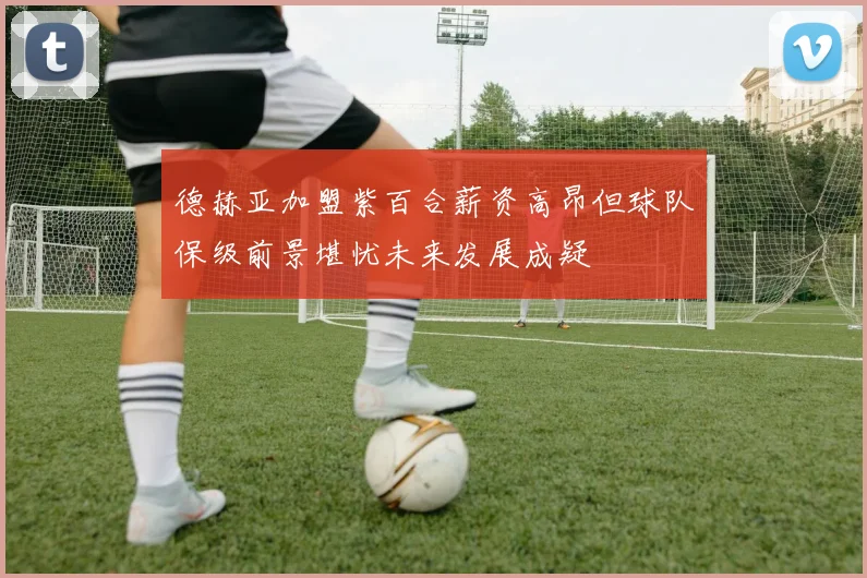 德赫亚加盟紫百合薪资高昂但球队保级前景堪忧未来发展成疑